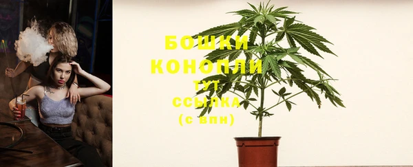PSILOCYBIN Медногорск
