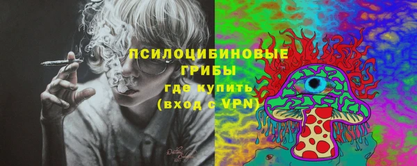 PSILOCYBIN Медногорск