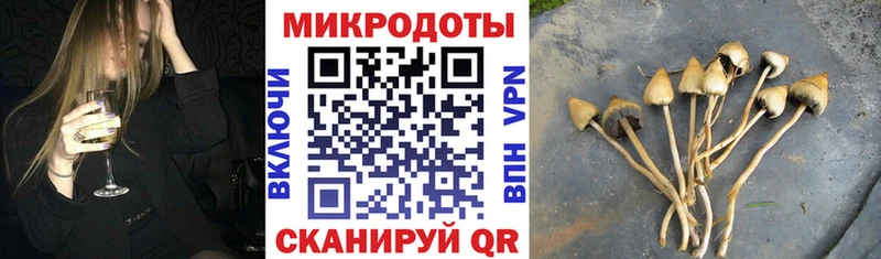shop какой сайт  Курчатов  Псилоцибиновые грибы Psilocybine cubensis 